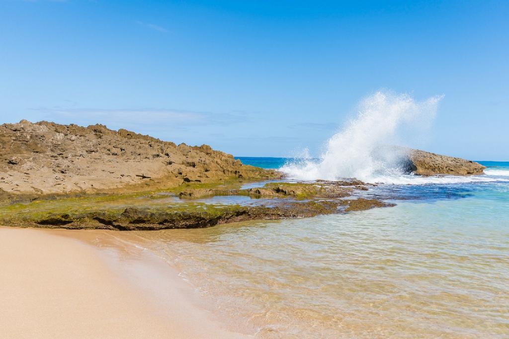 Ventana Al Atlantico At Arecibo 681 Ocean Drive Διαμέρισμα Islote Εξωτερικό φωτογραφία
