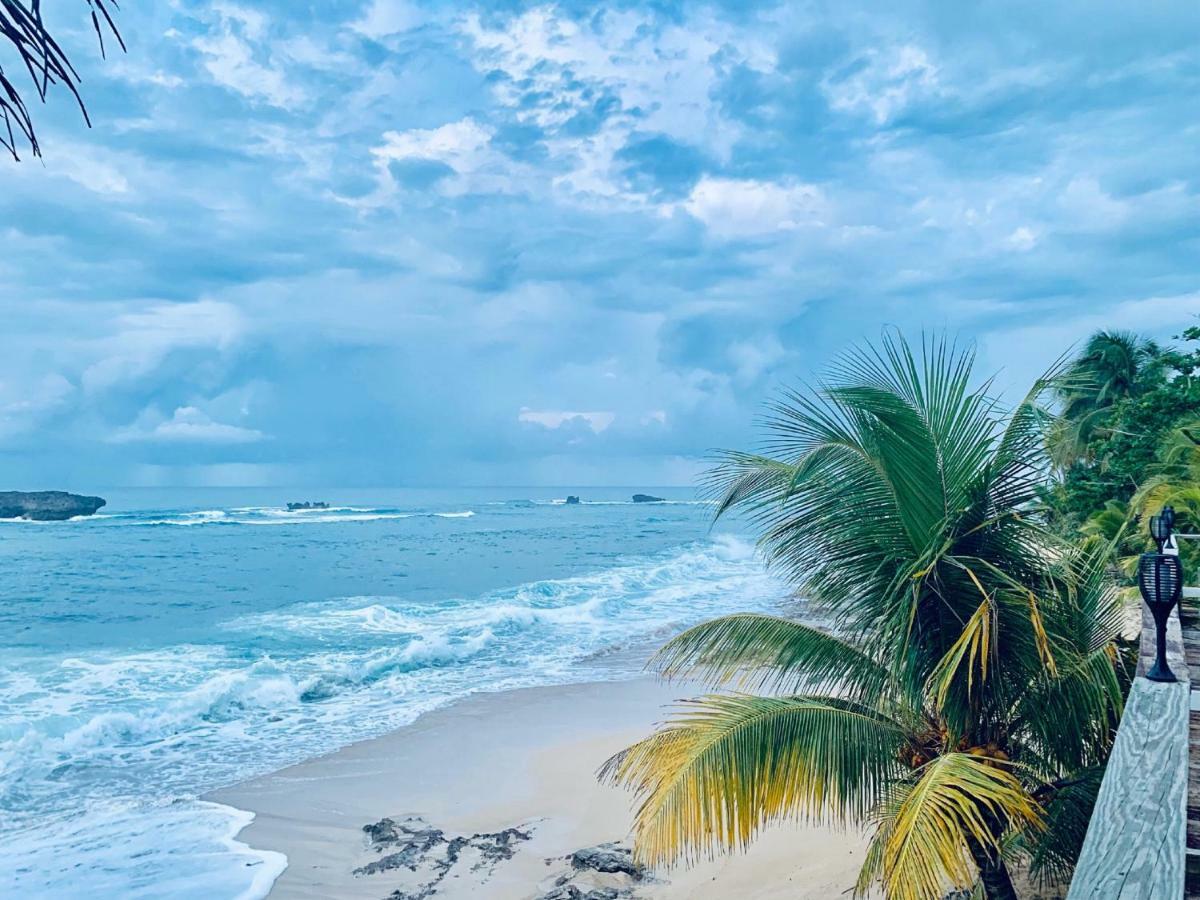 Ventana Al Atlantico At Arecibo 681 Ocean Drive Διαμέρισμα Islote Εξωτερικό φωτογραφία