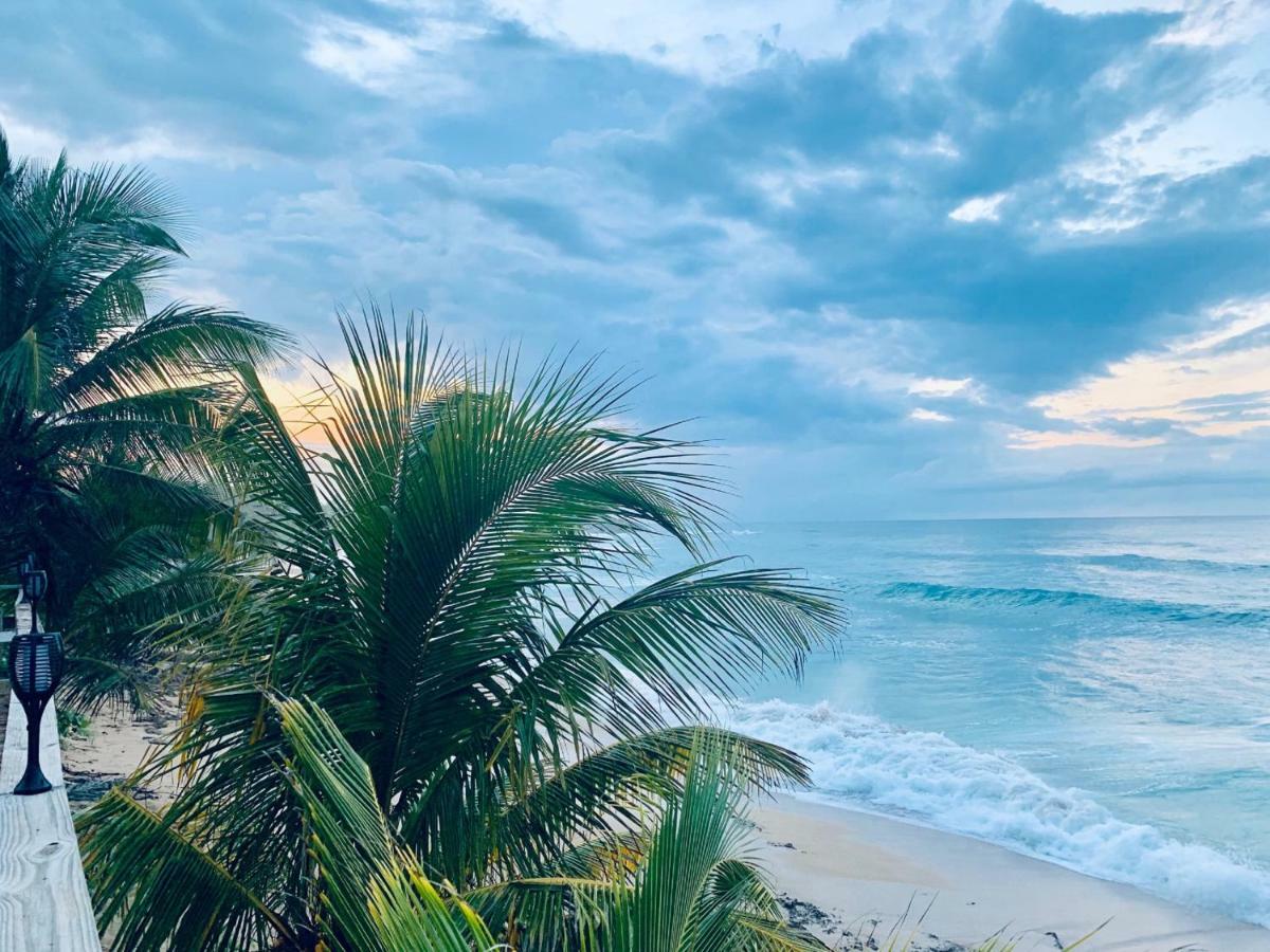 Ventana Al Atlantico At Arecibo 681 Ocean Drive Διαμέρισμα Islote Εξωτερικό φωτογραφία