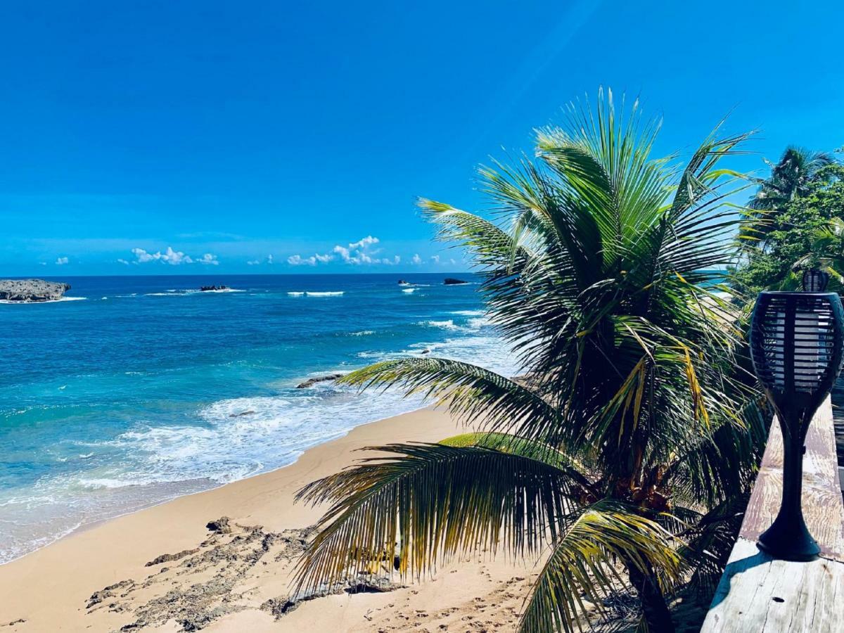 Ventana Al Atlantico At Arecibo 681 Ocean Drive Διαμέρισμα Islote Εξωτερικό φωτογραφία
